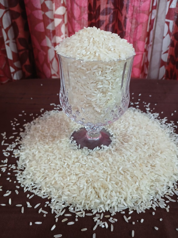 জিরা শাইল