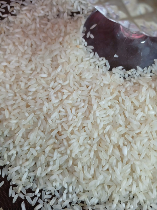 কাটারি ভোগ চাল
